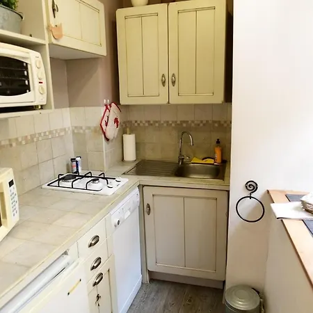 Walnut * Sarlat-la-Canéda